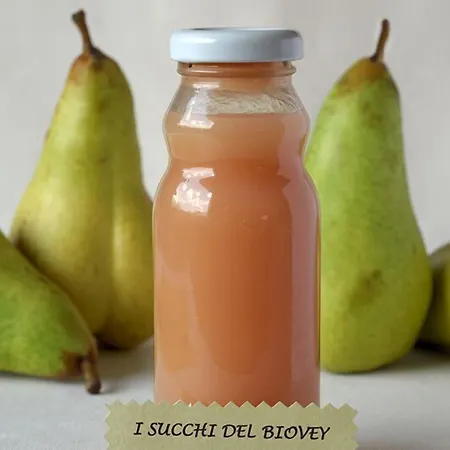 Guest house Myosotis Bardonecchia