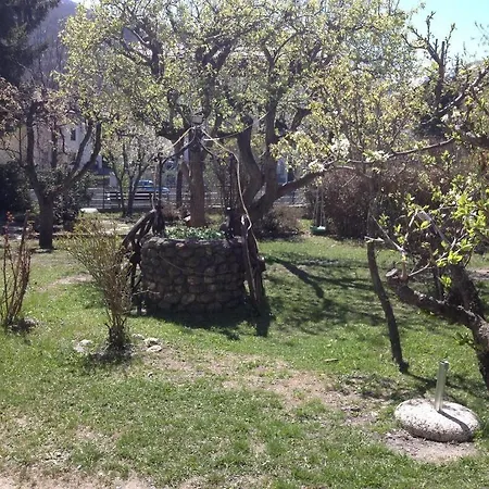 Myosotis Guest house 3*