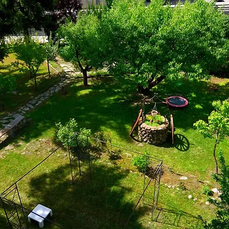 Guest house Myosotis 3*