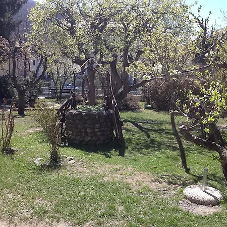 Myosotis 3* Bardonecchia