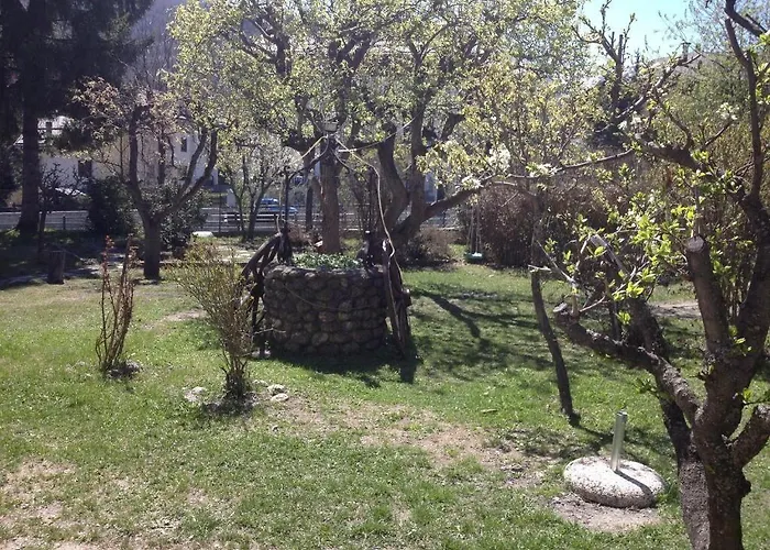 Myosotis بيت ضيافة 3*