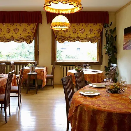 Myosotis Бардонеккия