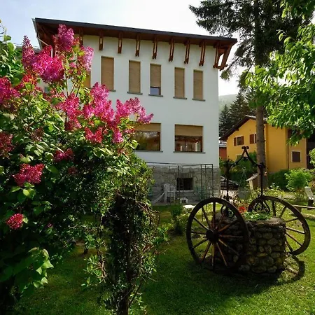 Myosotis Бардонеккия