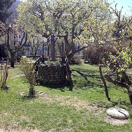 Casa de hóspedes Myosotis Bardonecchia