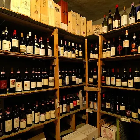 Myosotis Gæstehus Bardonecchia