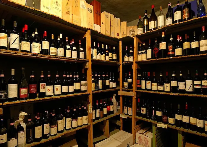 Myosotis بيت ضيافة باردونيكيا