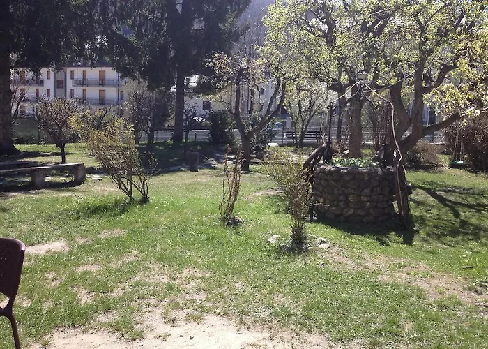 Myosotis باردونيكيا